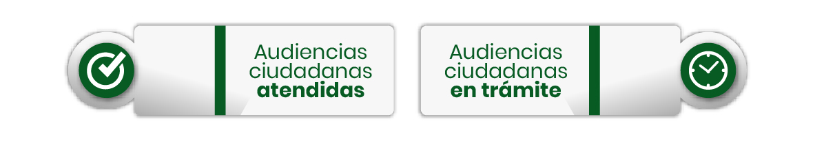 Audiencia Ciudadana